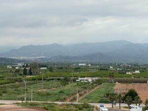 IMG 4894